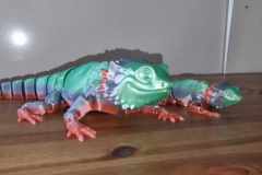 485127939_1856064418564546_2121246434787668920_n