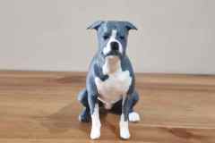 9b66cc20-b5a9-4d10-aa6d-913a55baf7cd